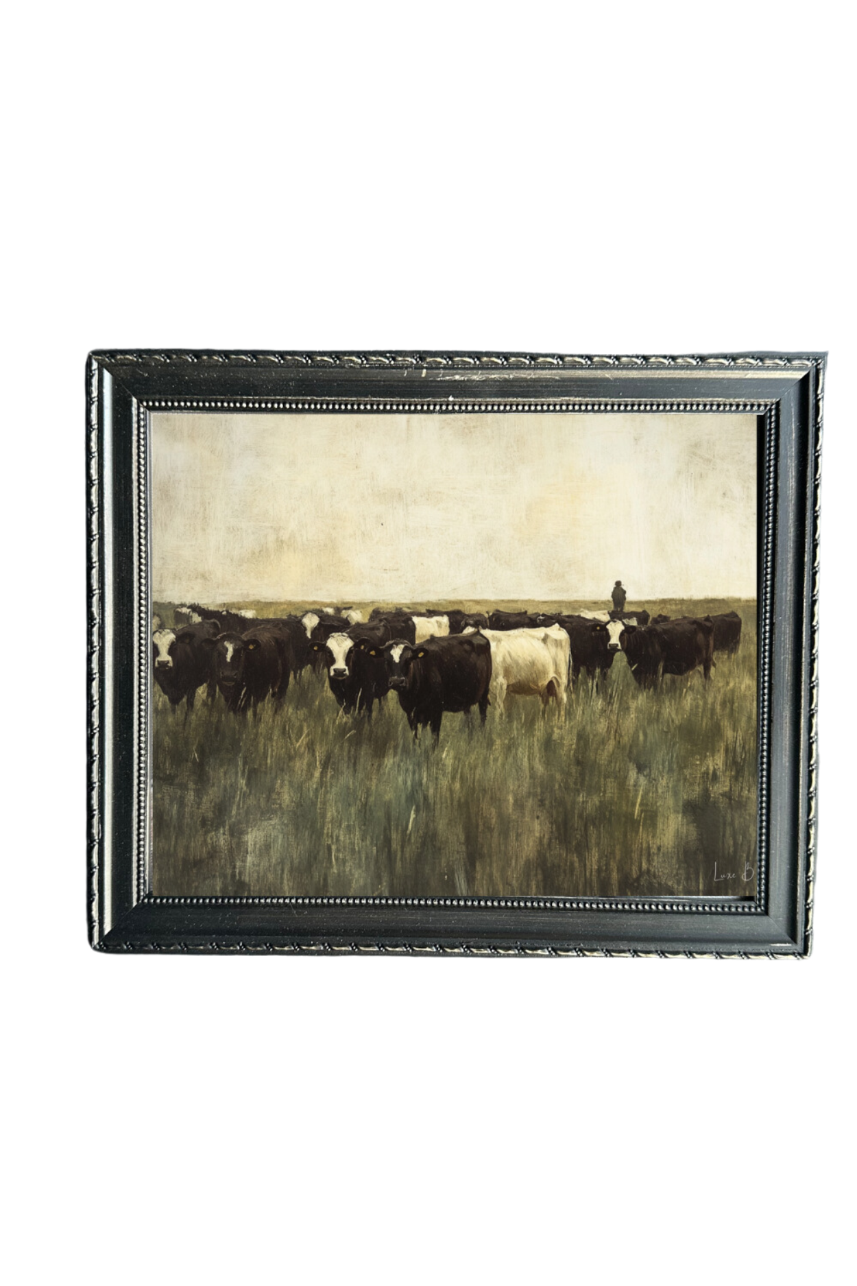 Grazing Cows