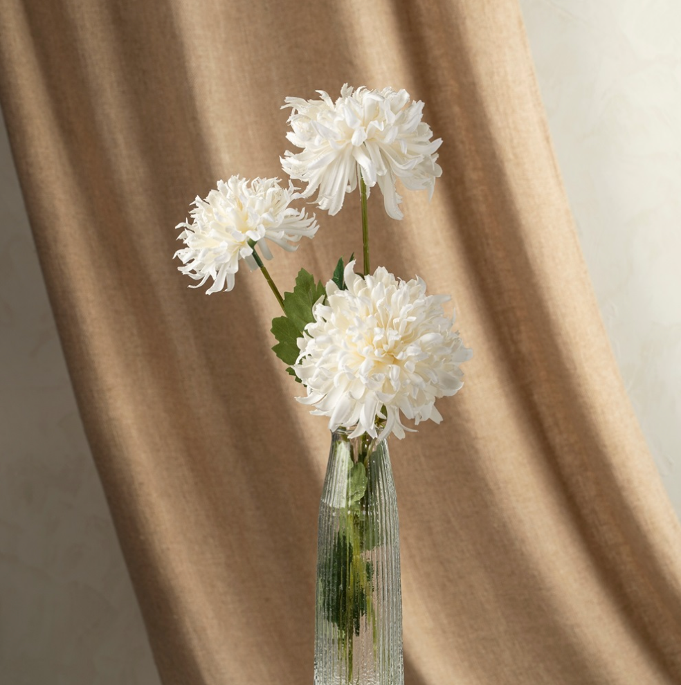 Chrysanthemum Spray White