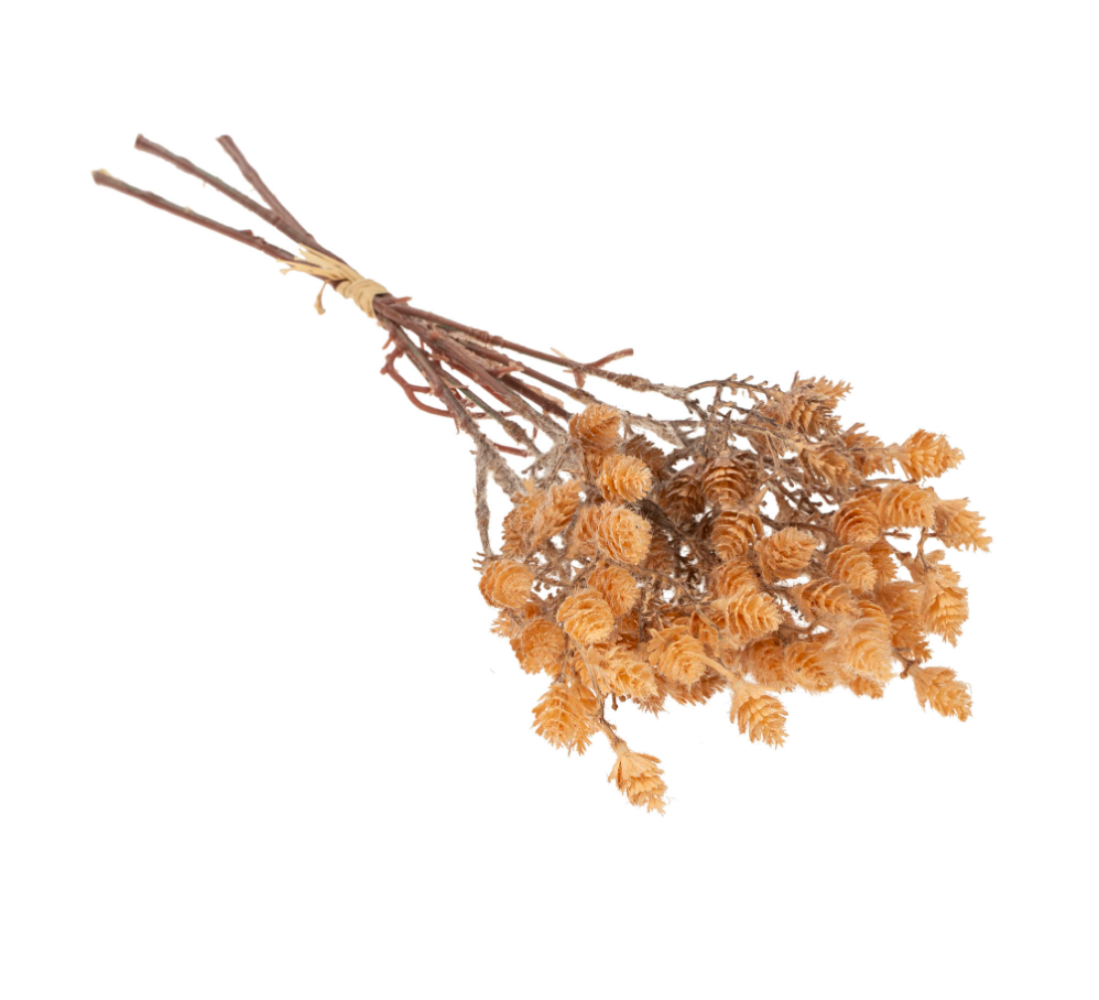 Wild Grass Bundle