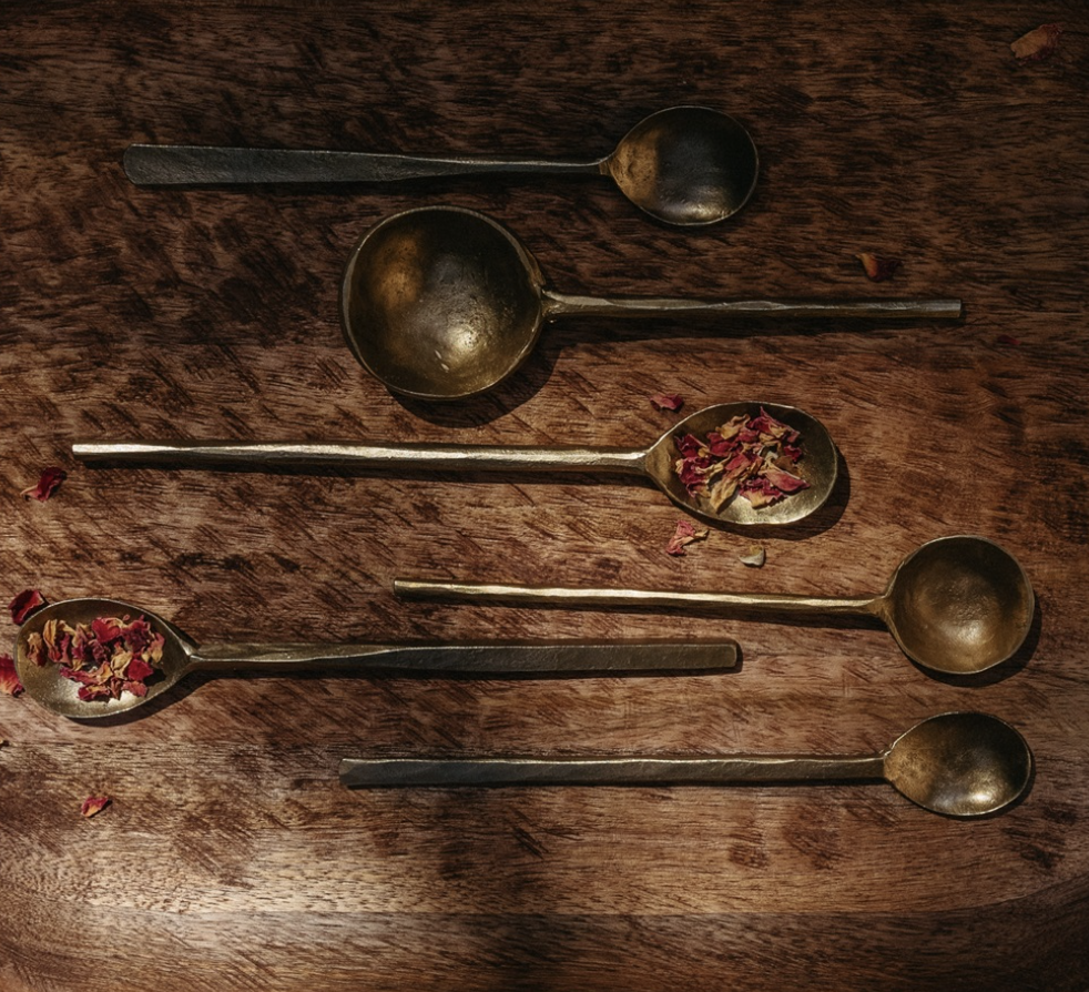 Forged Iron Spoon L