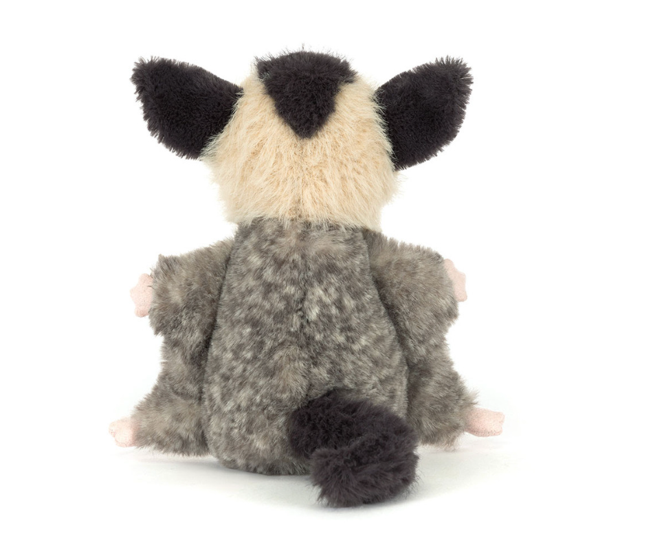 Lolly Sugar Glider
