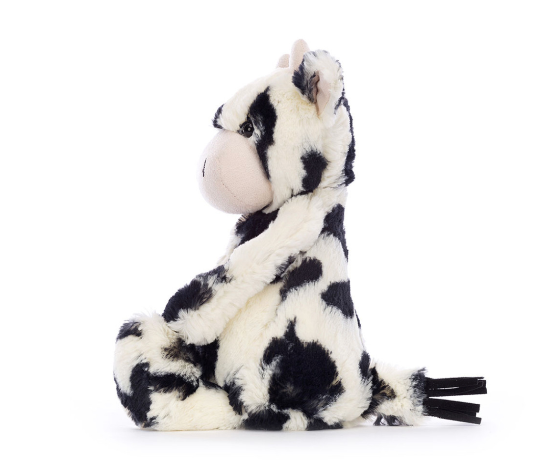Bashful Calf