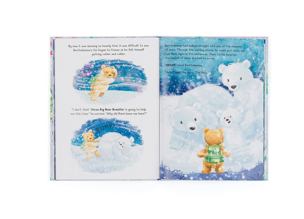 Bartholomew Bear & the Snow Giants Book