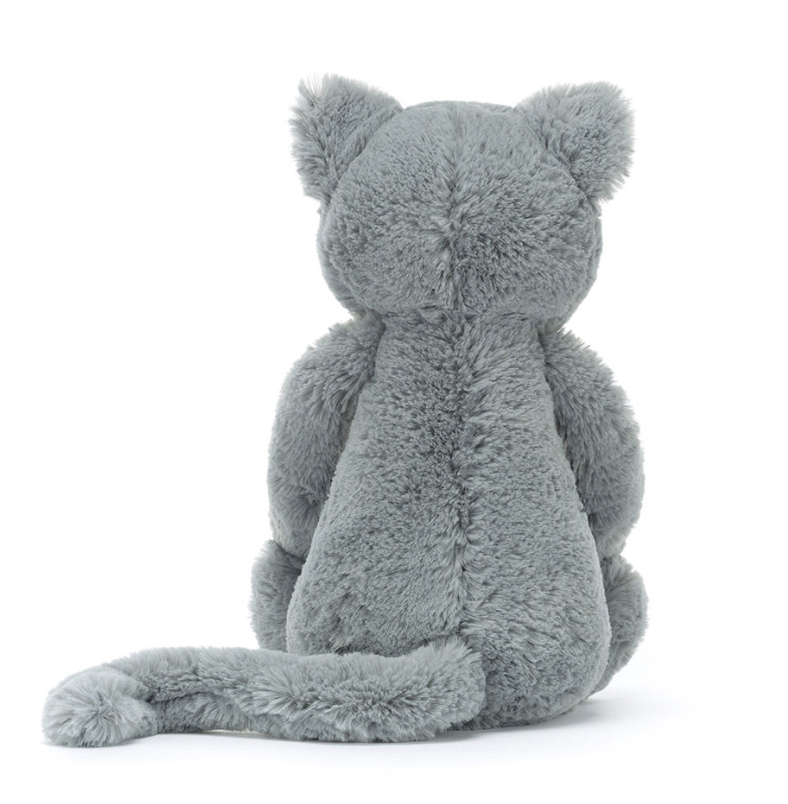 Bashful Grey Kitten