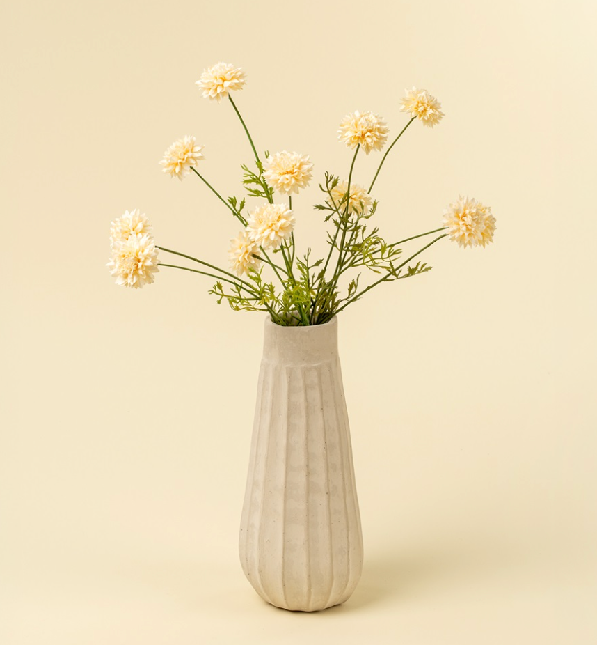 Mini Chrysanthemum