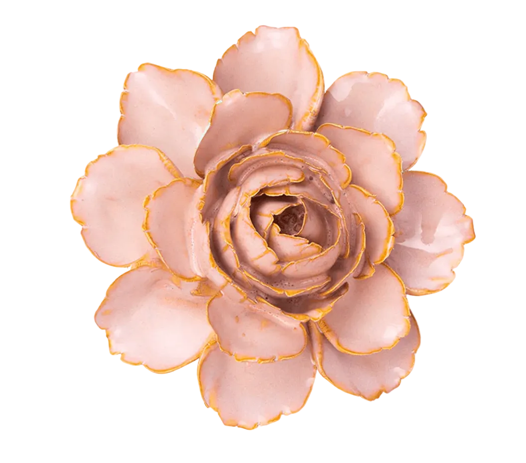 Rose Pink Camellia