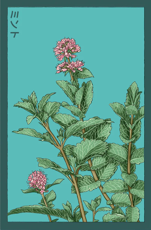 Mint Seeds