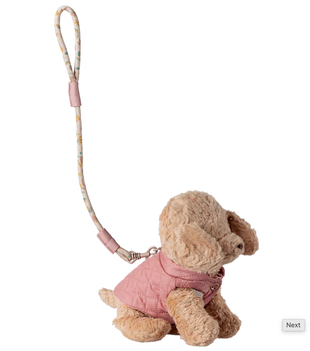Harness & Leash