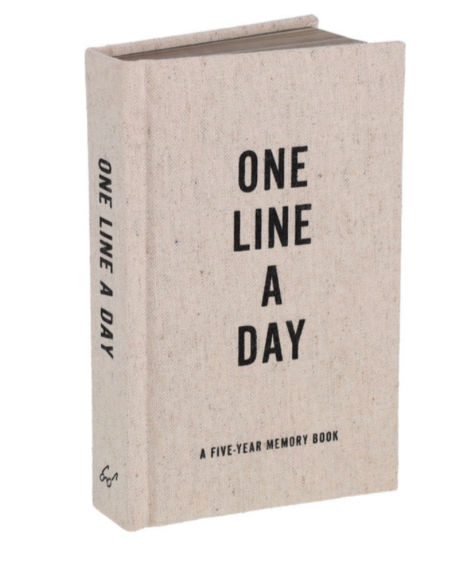 One Line a Day Journal