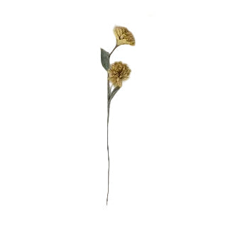 Paper Flower Chrysanthemum-Mustard