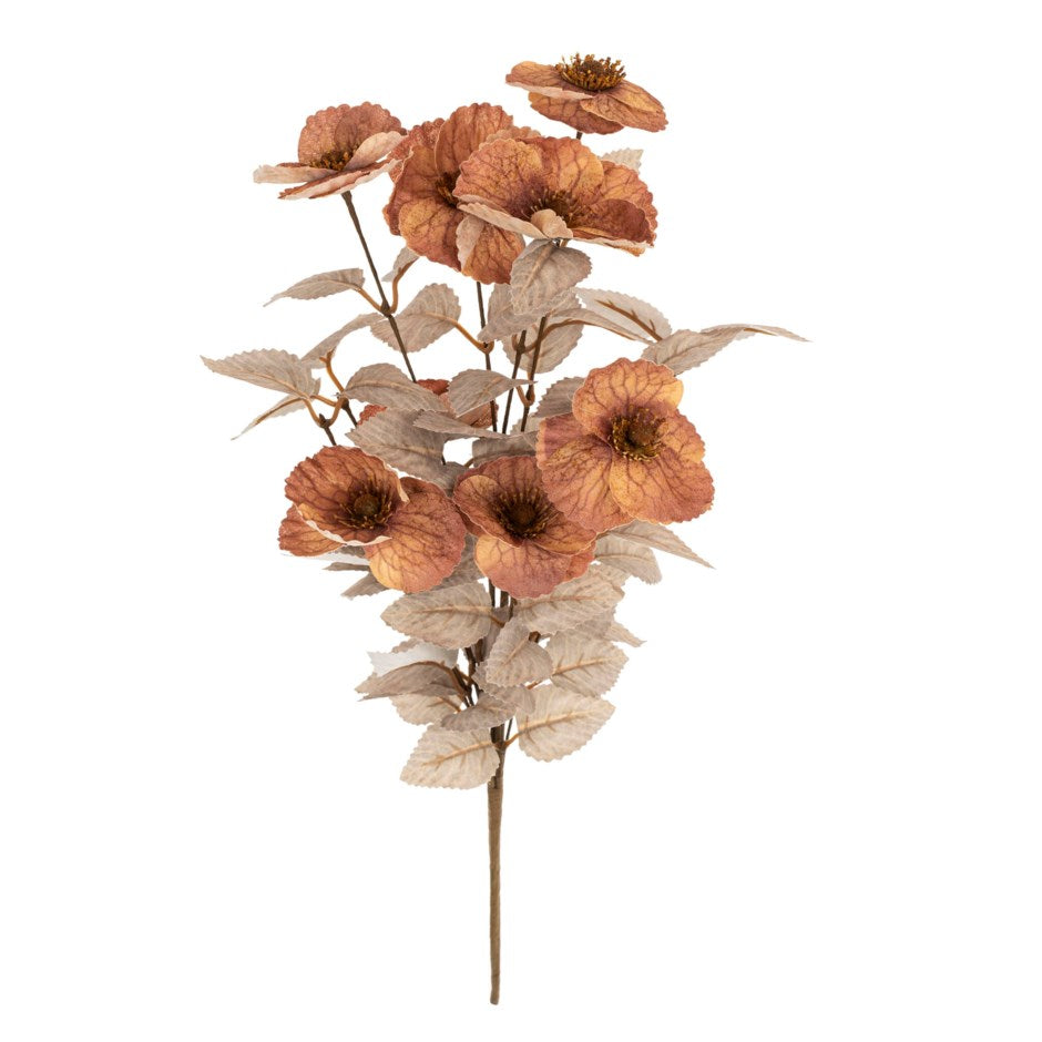 Wild Poppy Sprig, Rust