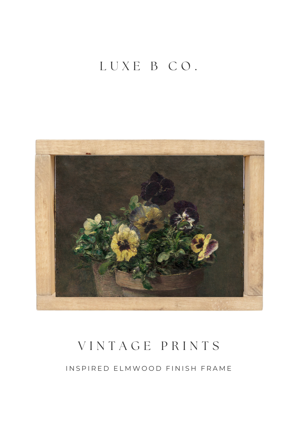 Vintage Framed Print Potted Pansy