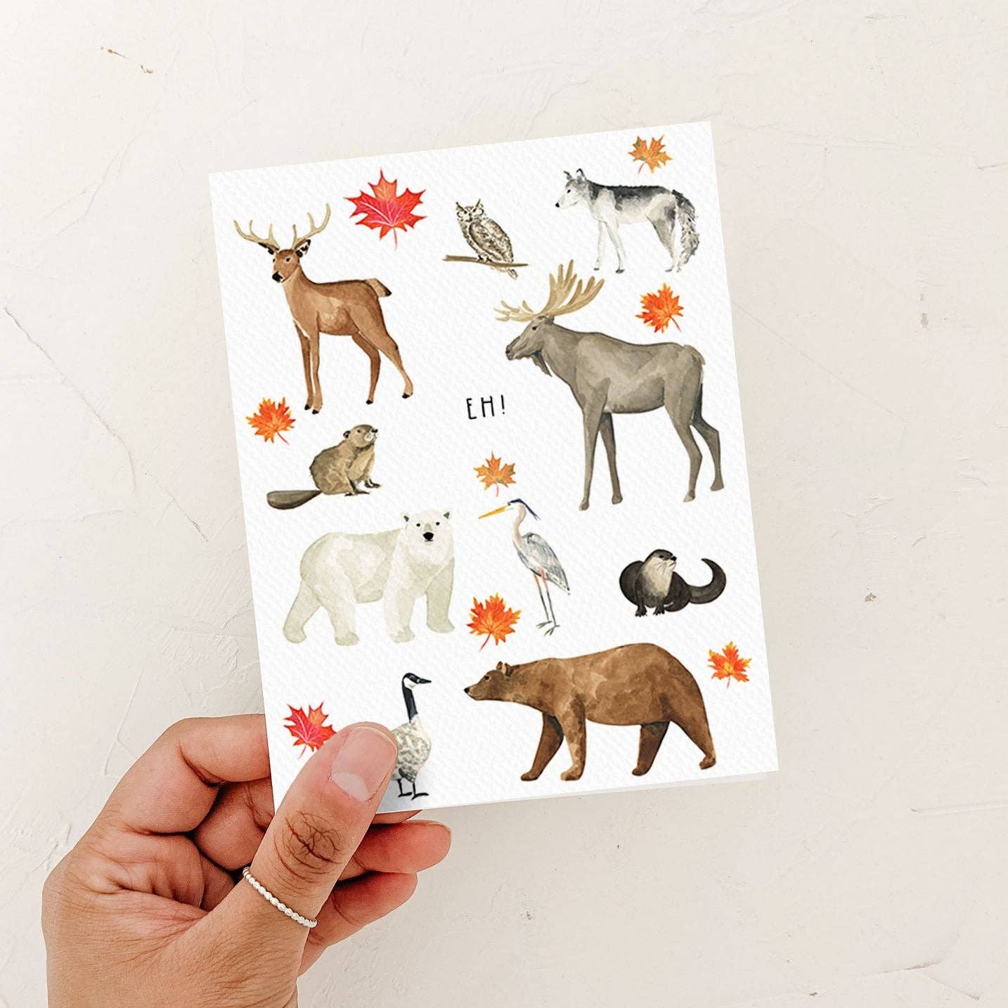 Canada Eh! Card | Canadian Animals