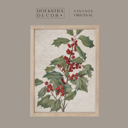 Vintage Christmas Holly