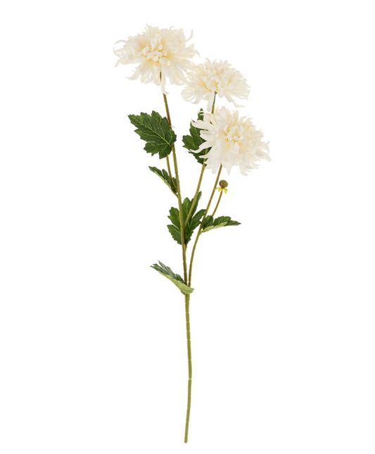 Chrysanthemum Spray White