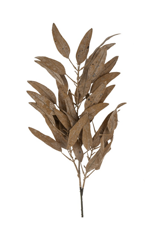 Cream Eucalyptus Stem