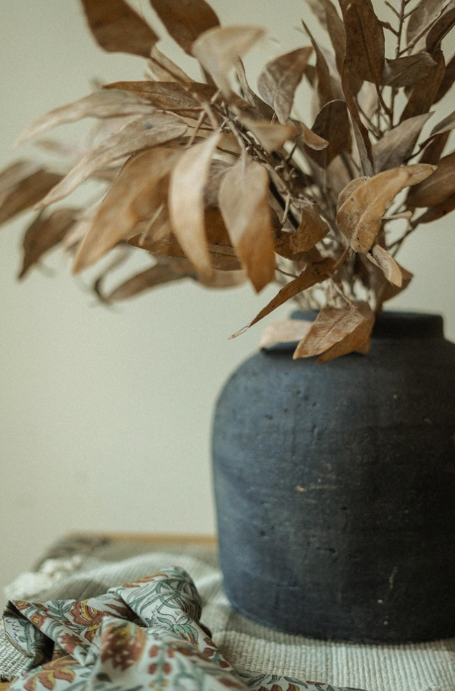 Cream Eucalyptus Stem