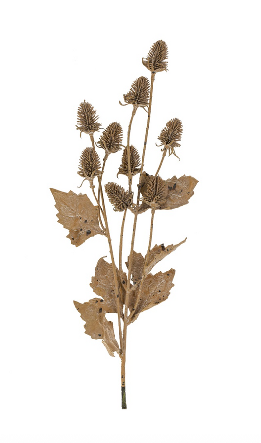Thistle Spray