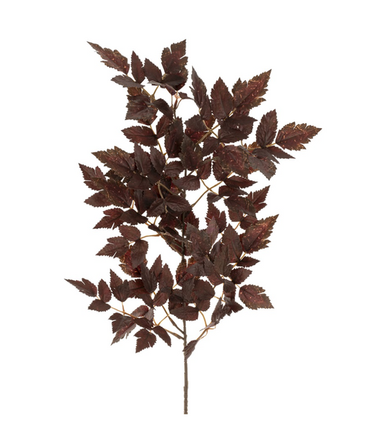 Plum Tree Branch