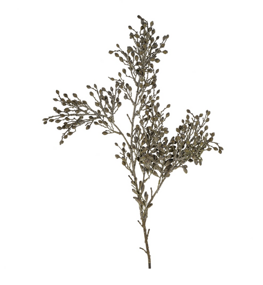 Sedum Spray
