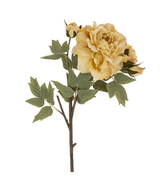 Butter Peony Floral Stem