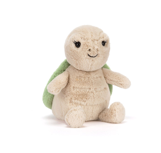 Thimble Turtle