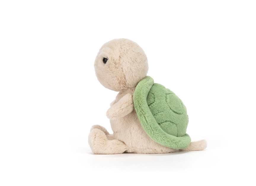Thimble Turtle