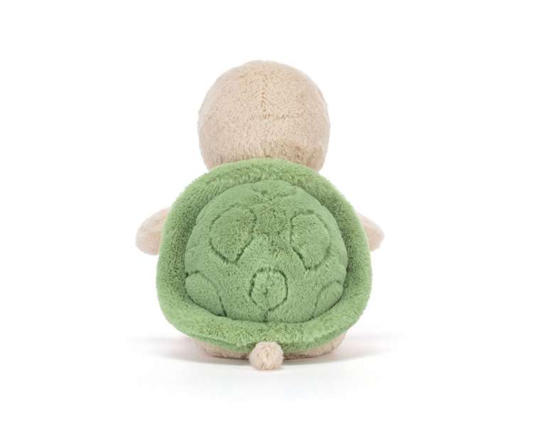 Thimble Turtle
