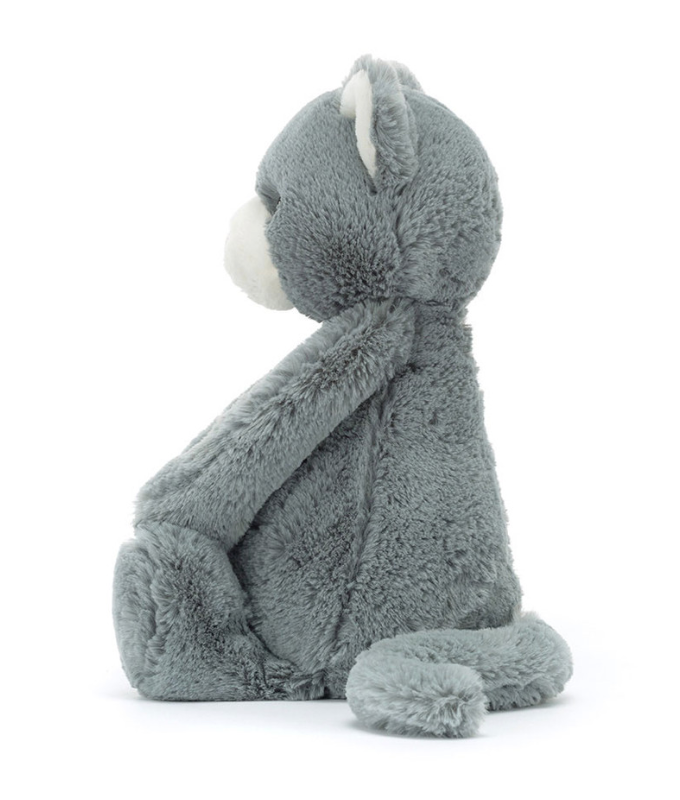 Bashful Grey Kitten
