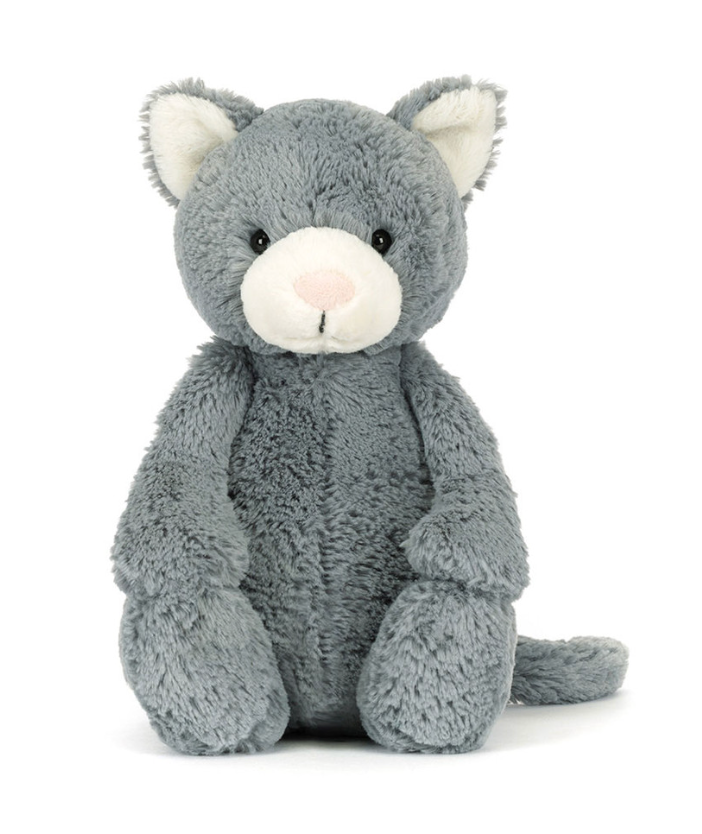 Bashful Grey Kitten