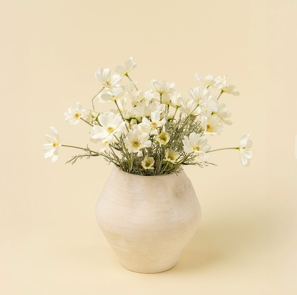 White Cosmos Spray