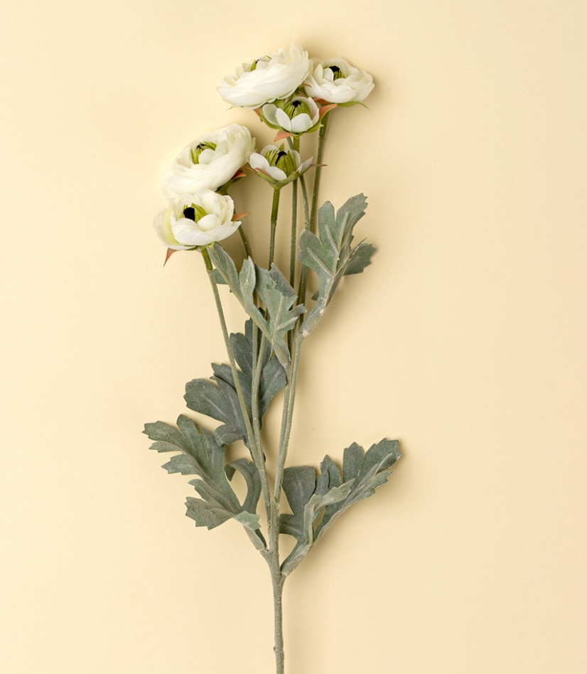 Ranunculus Spray