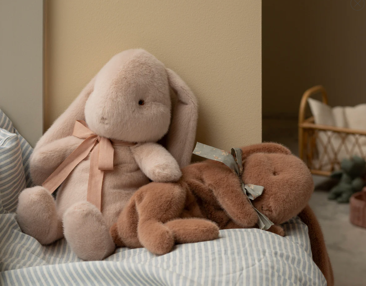 Sleeping Bunny