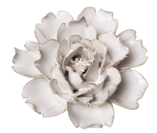 Ivory Rose