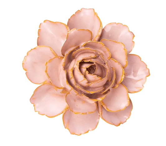 Rose Pink Camellia