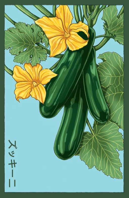Zucchini Veggie Seeds