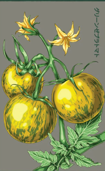 Green Zebra Tomato Seeds