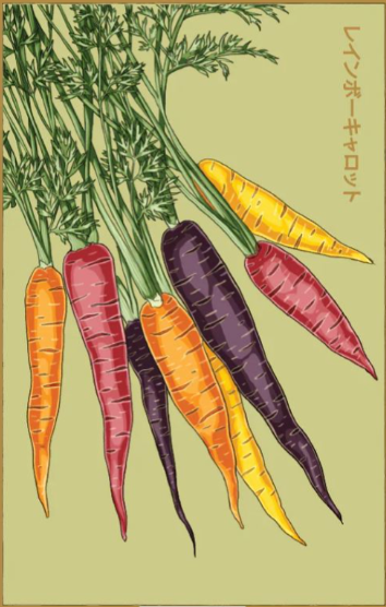 Rainbow Carrot Seeds
