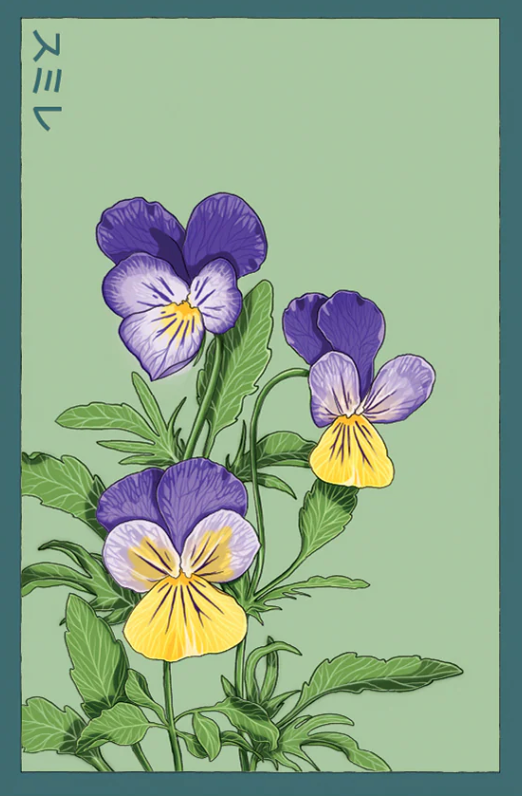 Pansy Flower Seeds