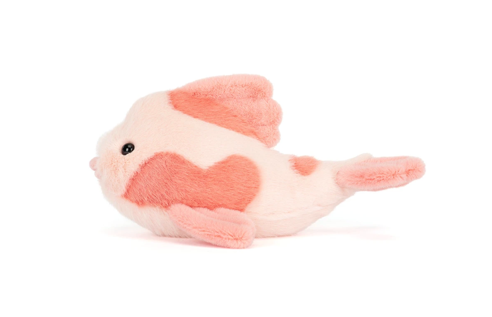 Fancy Carp