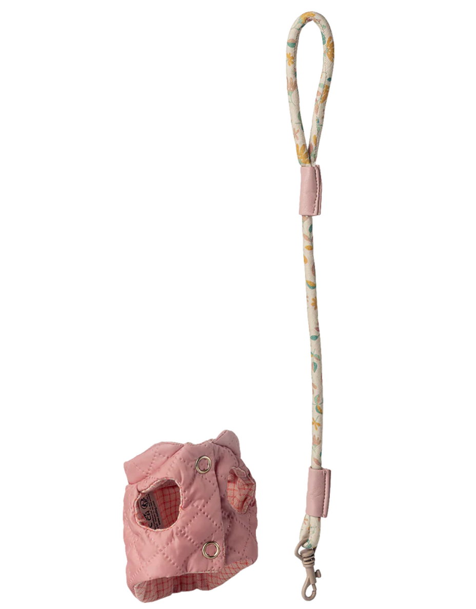 Harness & Leash