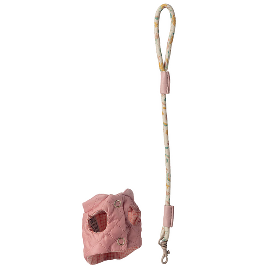 Harness & Leash