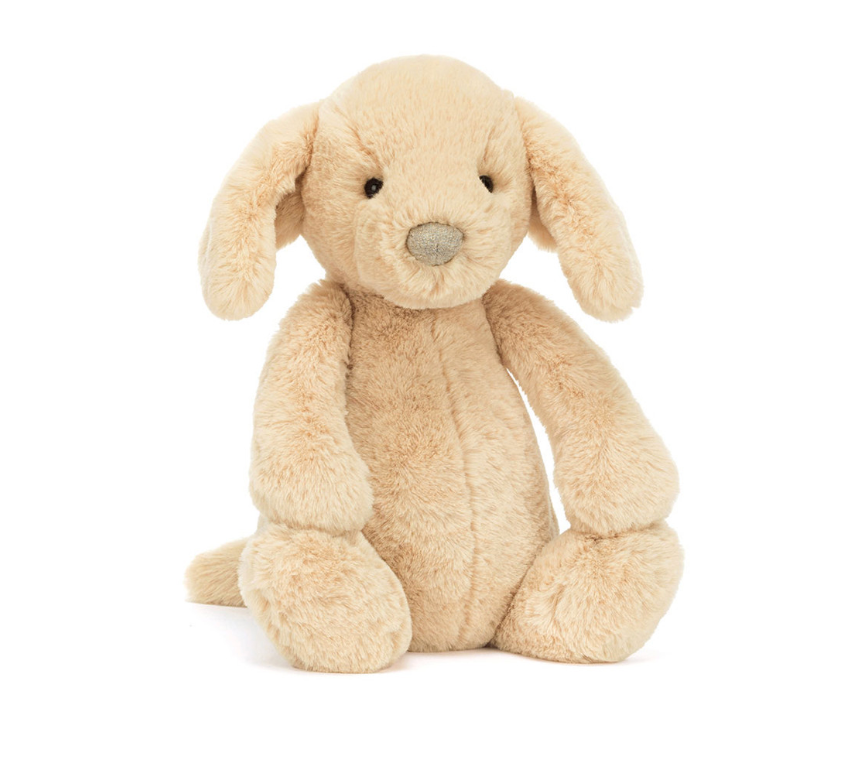 Bashful Luxe Puppy Orlando