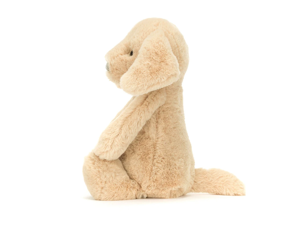 Bashful Luxe Puppy Orlando