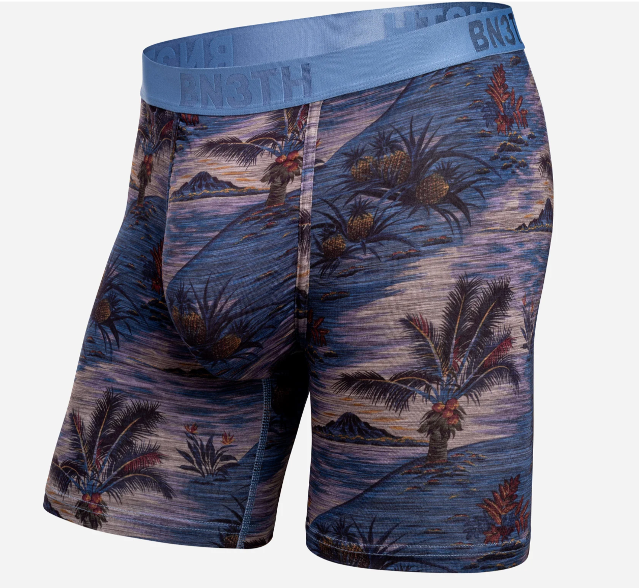 Classic Icon Boxer Brief