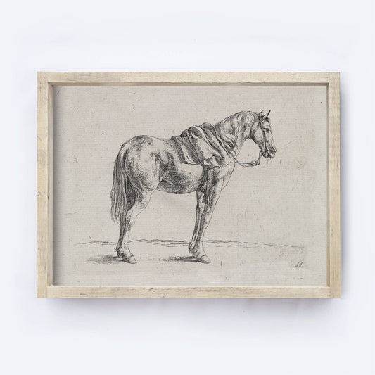 Vintage Horse