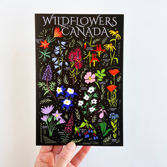 Wildflowers Canada Postcard