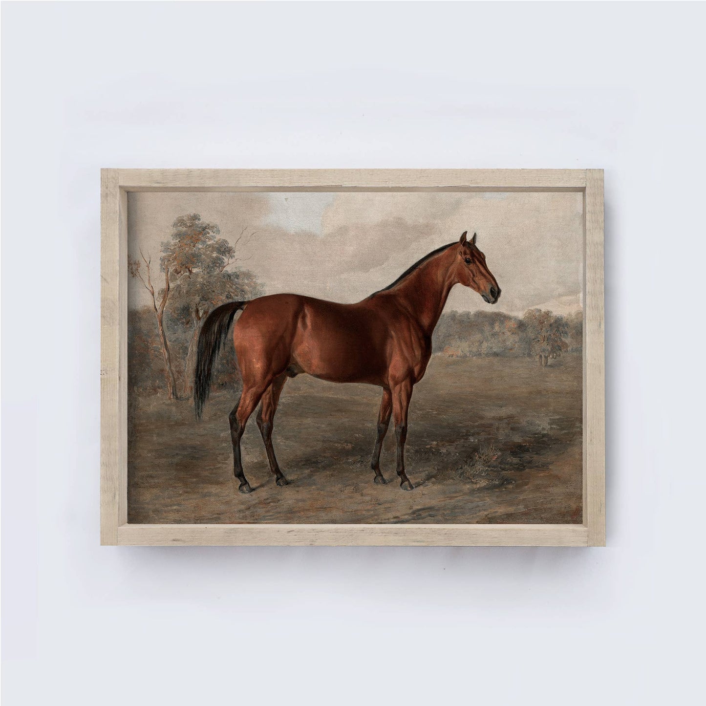 Vintage Horse Print Framed