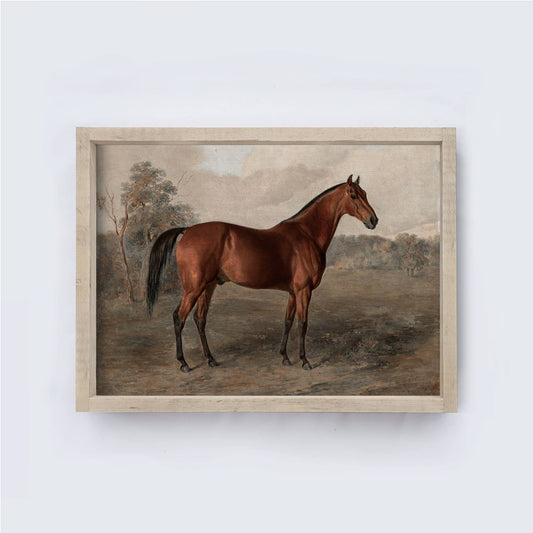Vintage Horse Print Framed