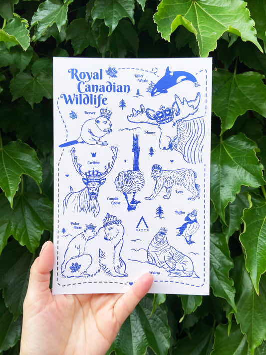 Royal Canadian Wildlife Postcard